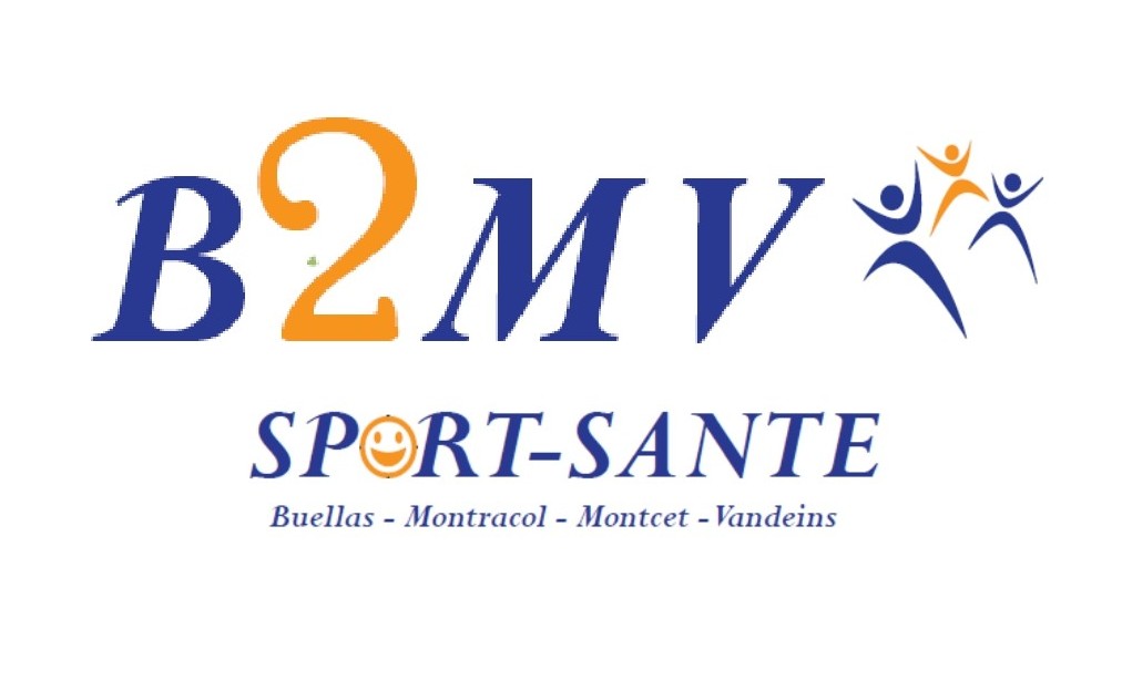 Logo B2MV